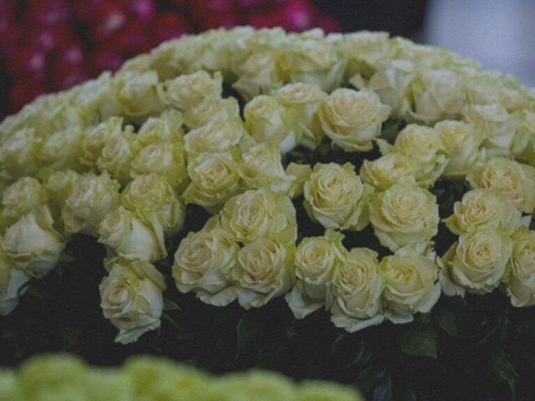    Иллюстрация к материалу: Как продлить жизнь букету: советы флориста для мам