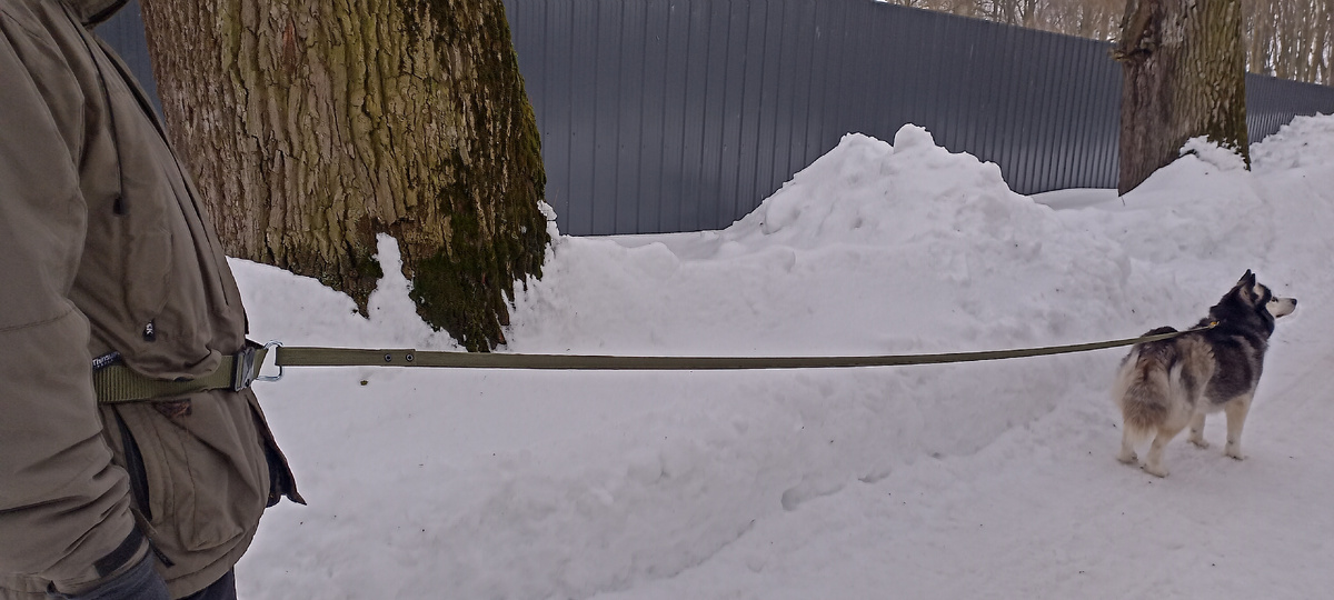 За границей платят деньги, чтобы так прогуляться!