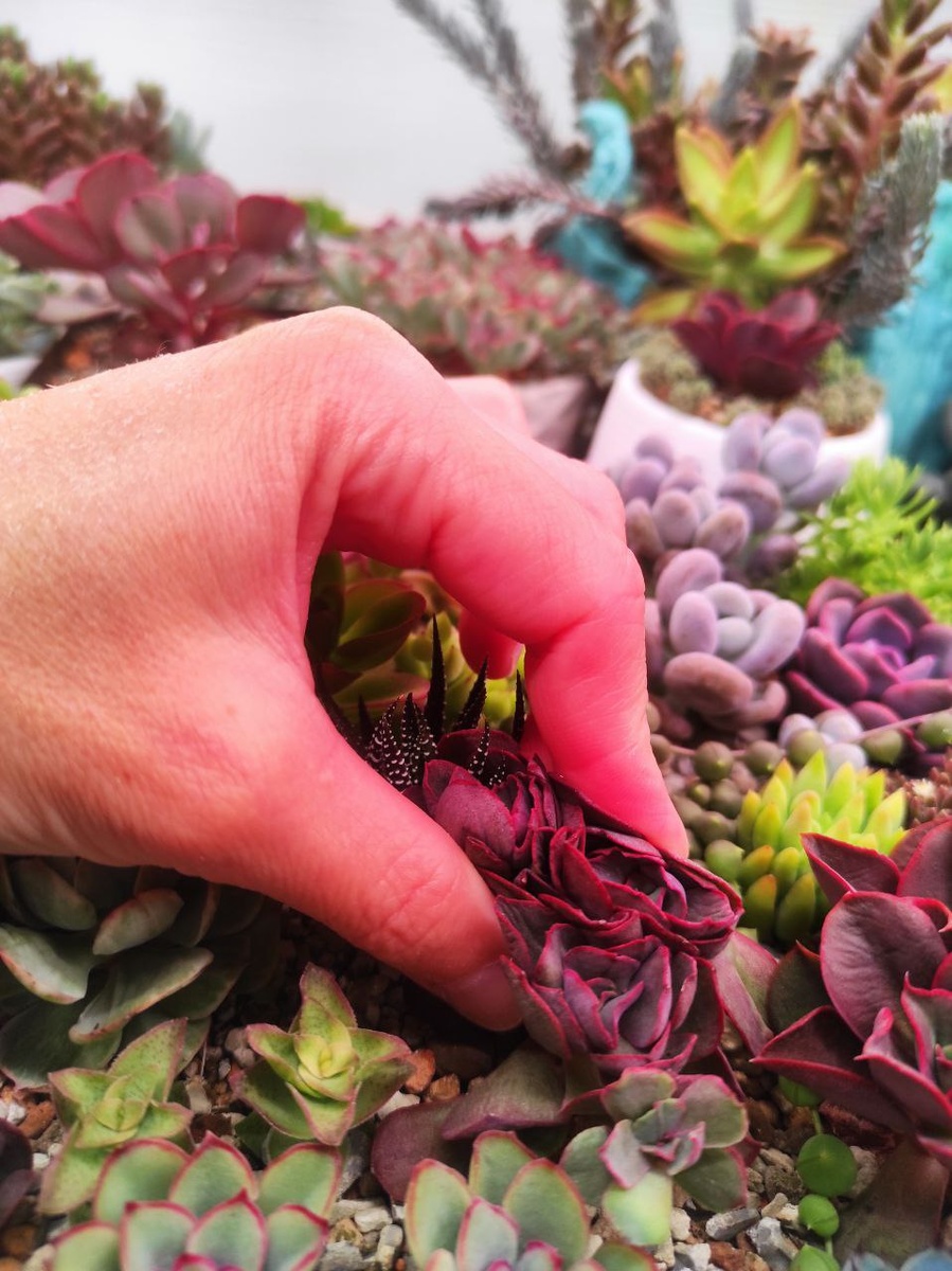 Сниженный тургор 