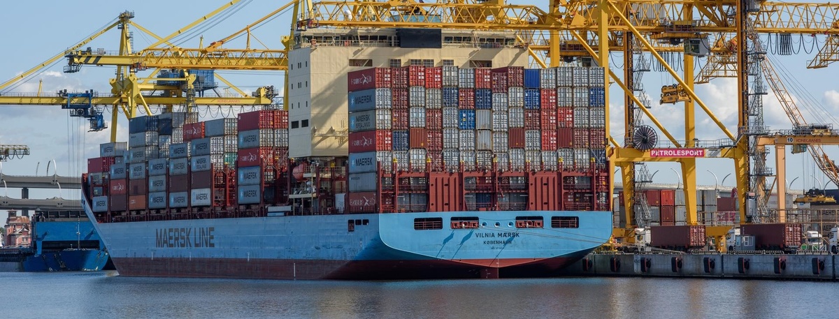    Ленобласть планирует наращивать экспорт за счёт Египта, ОАЭ и Южной Африки Автор фото: Ермохин Сергей