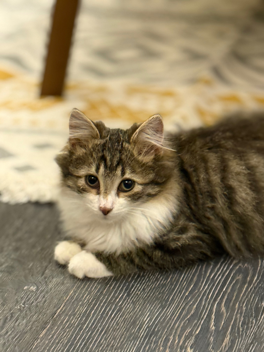 Тут он еще не совсем доверяет, но уже интересуется происходящим. Глаза почти в норме 