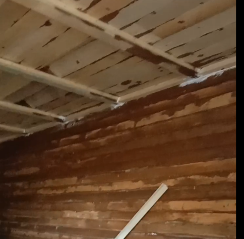 Потолок в бане