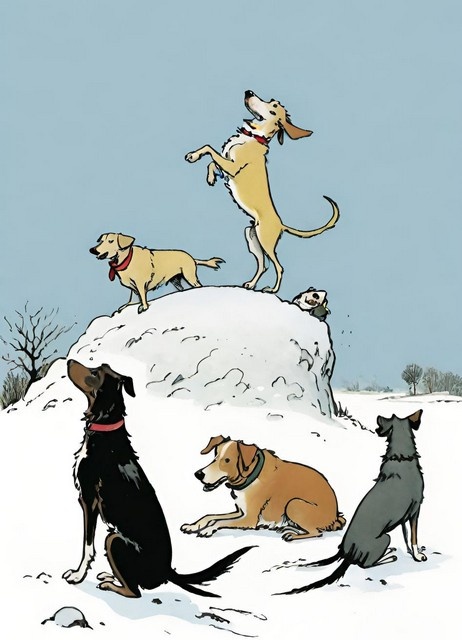 и разношерстные собаки тоже, прямо на свежий снег...