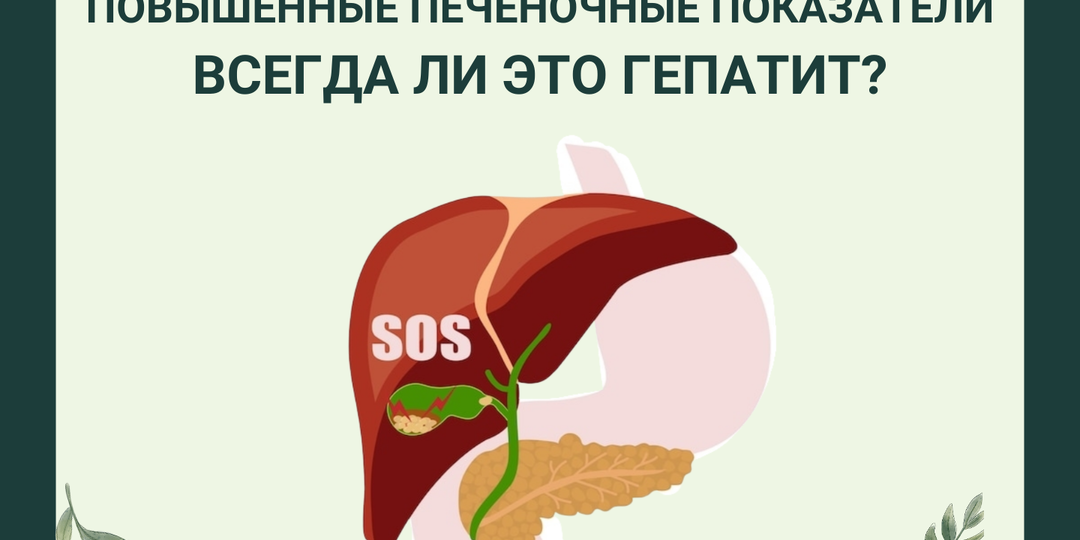 Повышенные печёночные показатели. Всегда ли это гепатит?