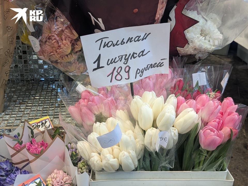    В магазинах и гипермаркетах тюльпаны стоят дороже. Анна ГРЕНЬ