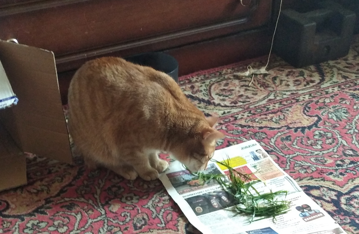 Личное фото