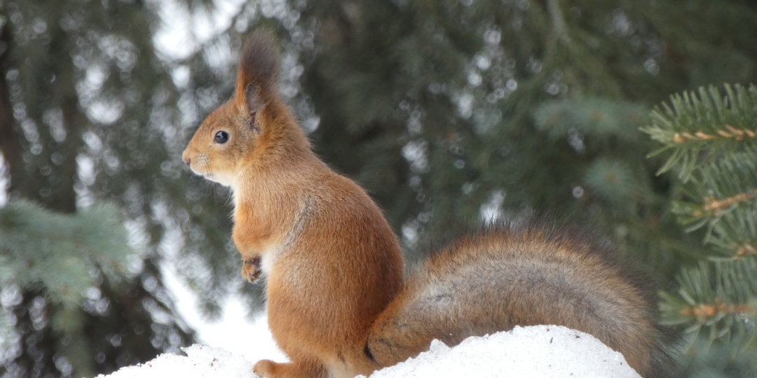 Возвращаемся на ЗКМ: Минская – парк Фили