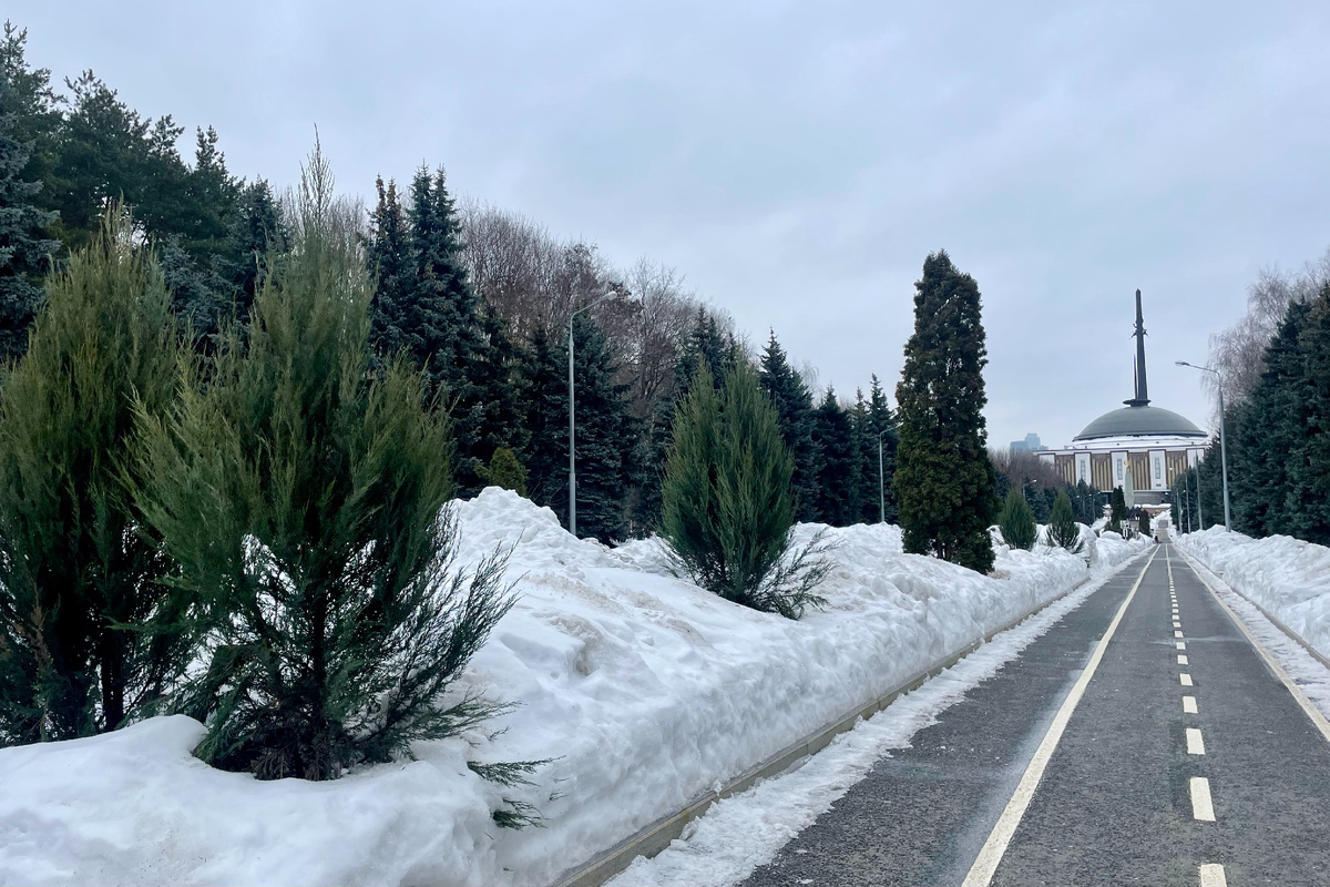 Аллея партизан