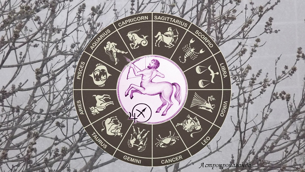 Гороскоп для Стрельца со 2 по 29 марта 2026. 