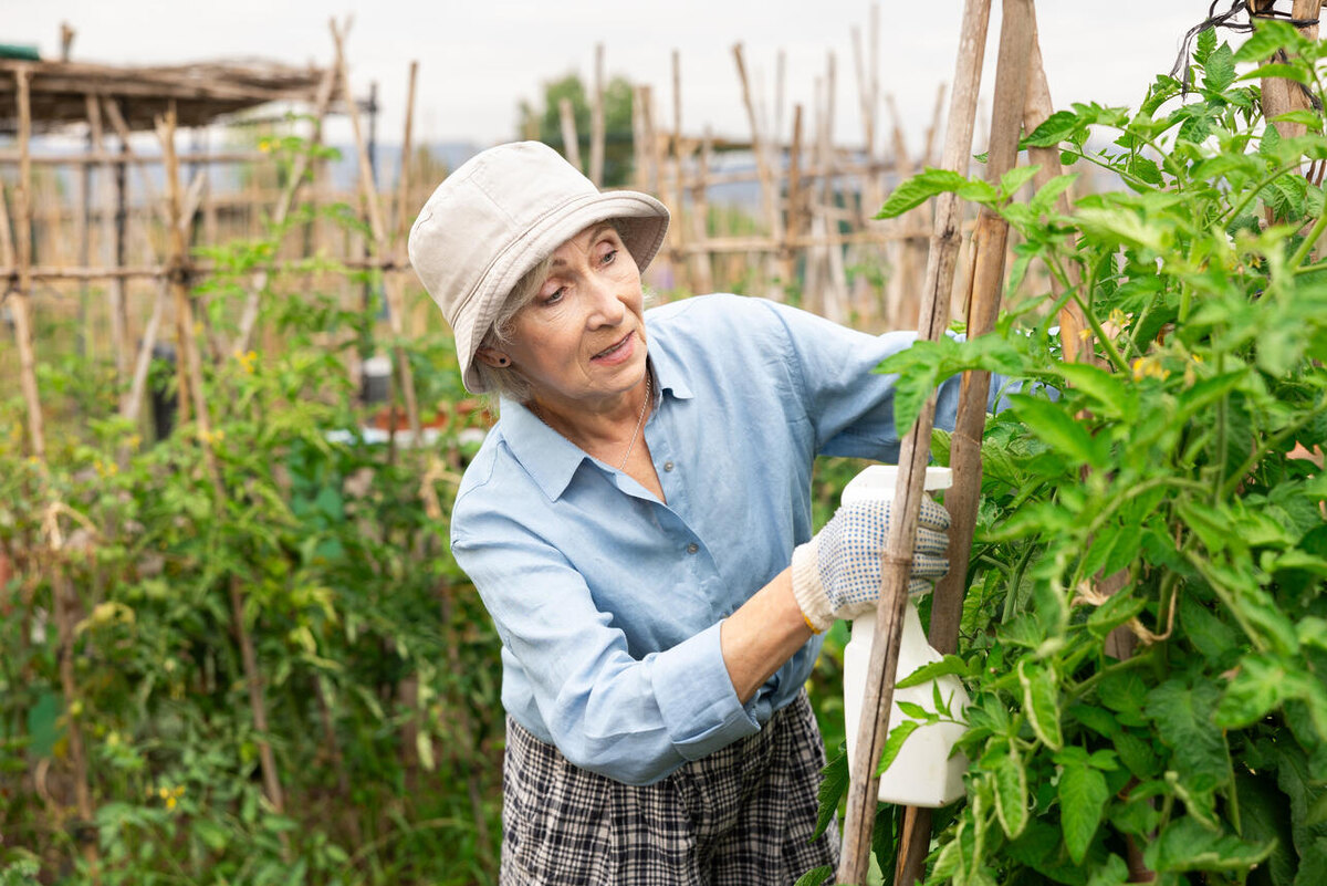    Огород 123RF/legion-media.ru