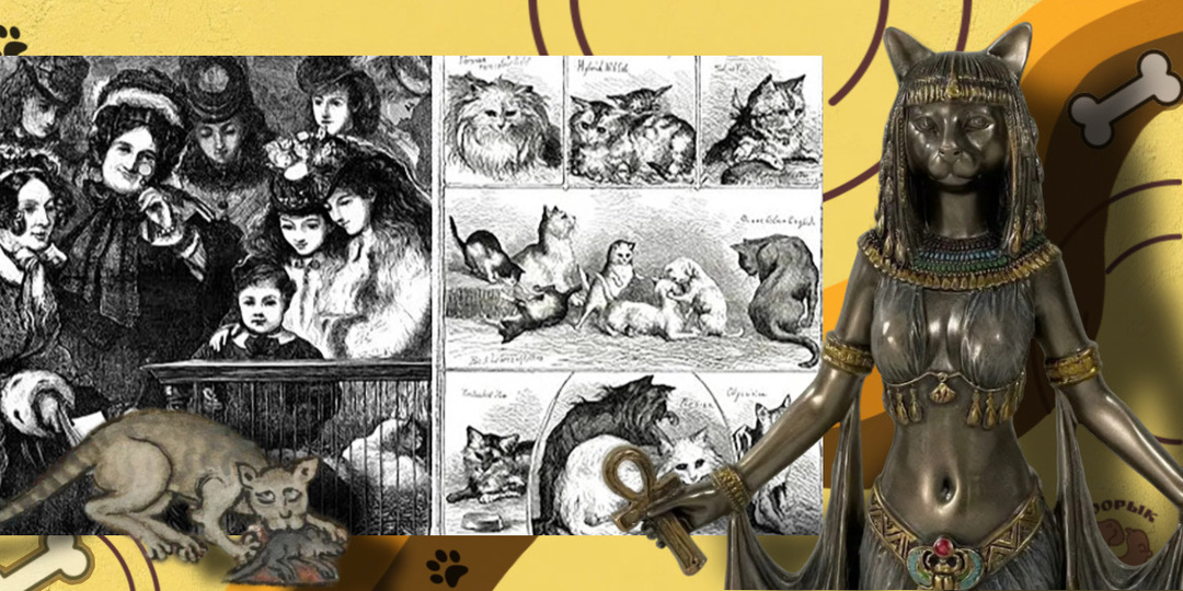 Зачем египтяне молились богине Бастет, а в Европе кошек гнали на костер? Как 10 000 лет назад дикий хищник сам выбрал жизнь с человеком?