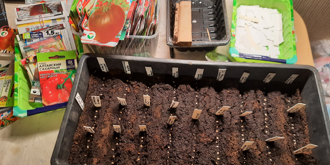 Как я отношусь к лунным календарям и соблюдаю ли их рекомендации.