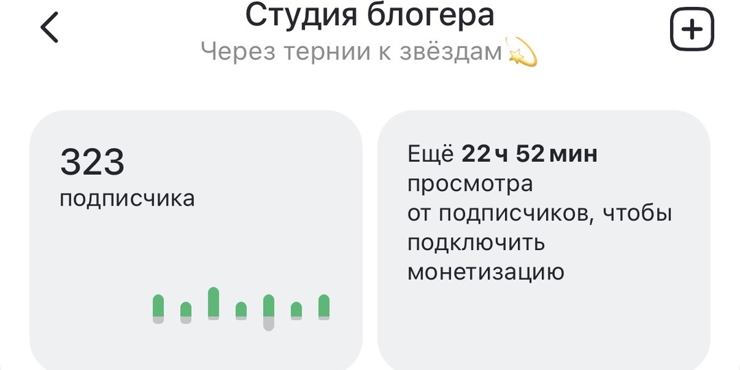 6 месяцев на Дзен. Итоги.