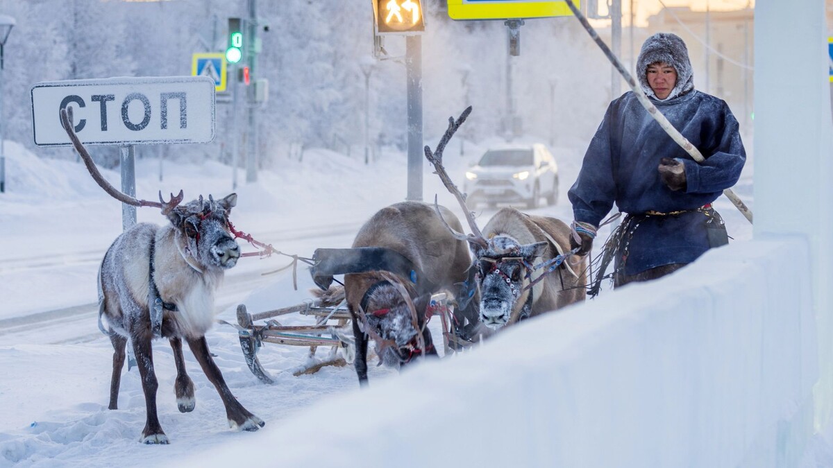    Фото: Федор Воронов / «Ямал-Медиа»
