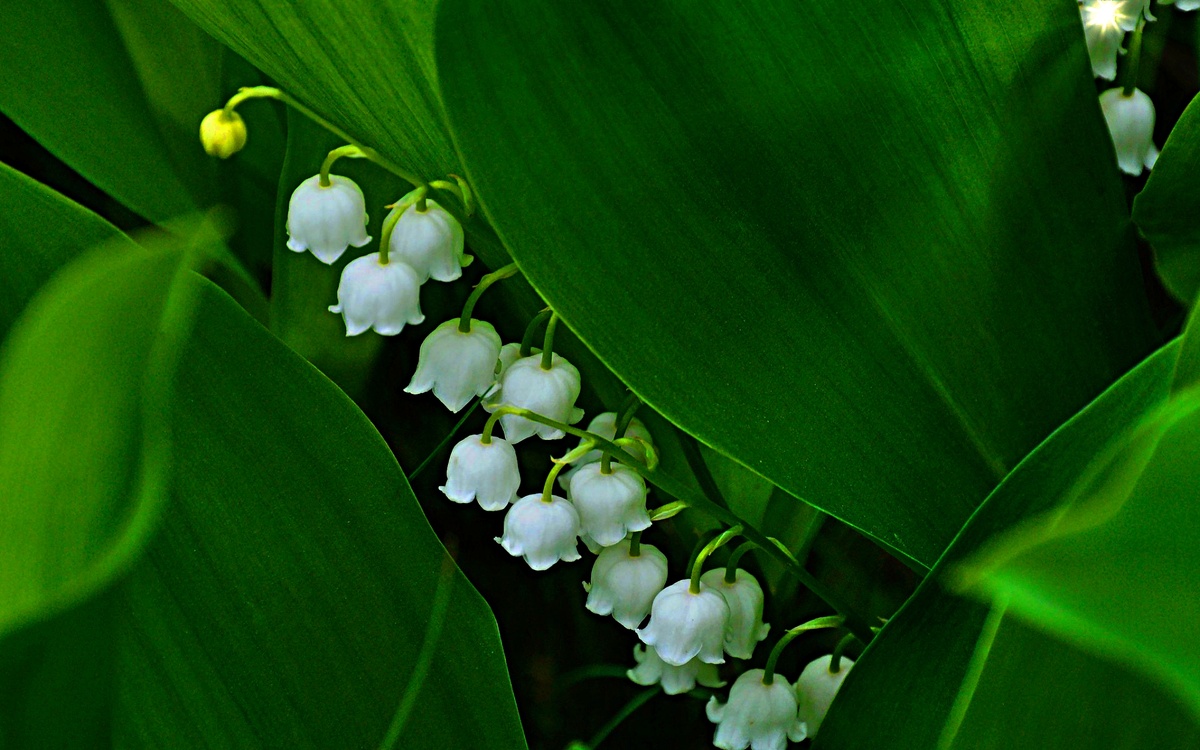 Где так сейчас, кто знает? У нас вчера было  минус  33. 