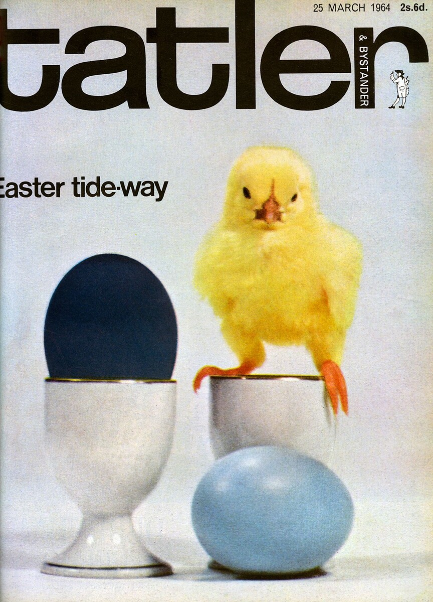 На обложке журнала The Tatler изображен цыпленок, сидящий на подставке для яиц, с яйцом светло-голубого и темно-голубого цвета в честь лодочной гонки между Оксфордом и Кембриджем. Дата: 1964 год