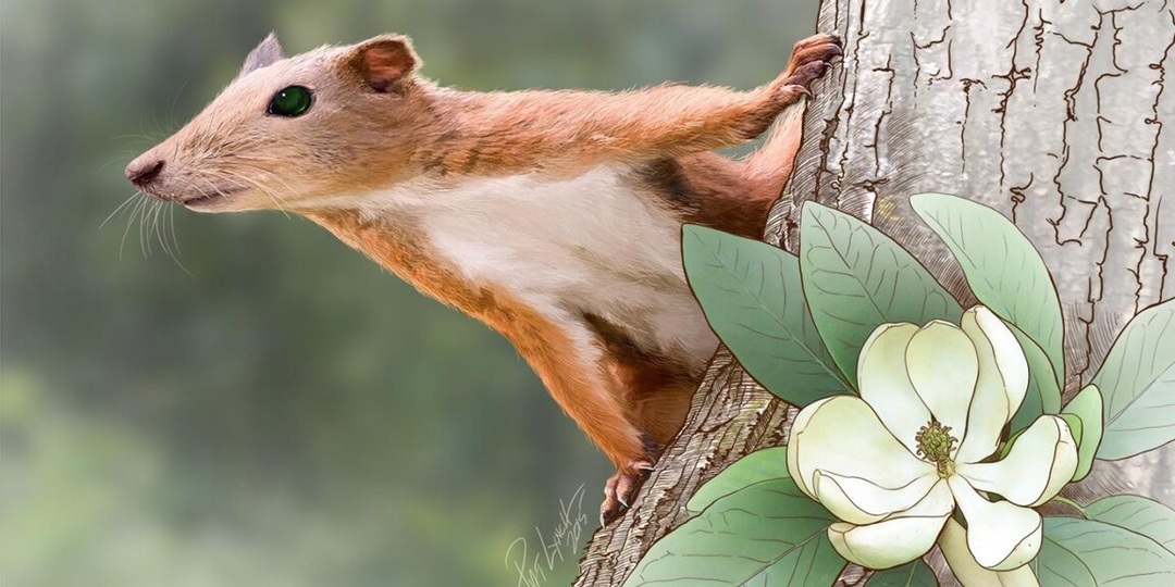 Зубы древнего пургаториуса: крошечная находка переписала историю приматов