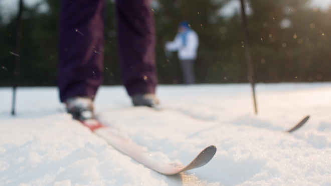 Фото: https://ru.freepik.com/free-photo/skis-snow_5400478.htm#fromView=search&page=1&position=0&uuid=d7b8e6b1-992c-48ae-93ef-8d19a3b702d8&query=%D0%BB%D1%8B%D0%B6%D0%B8