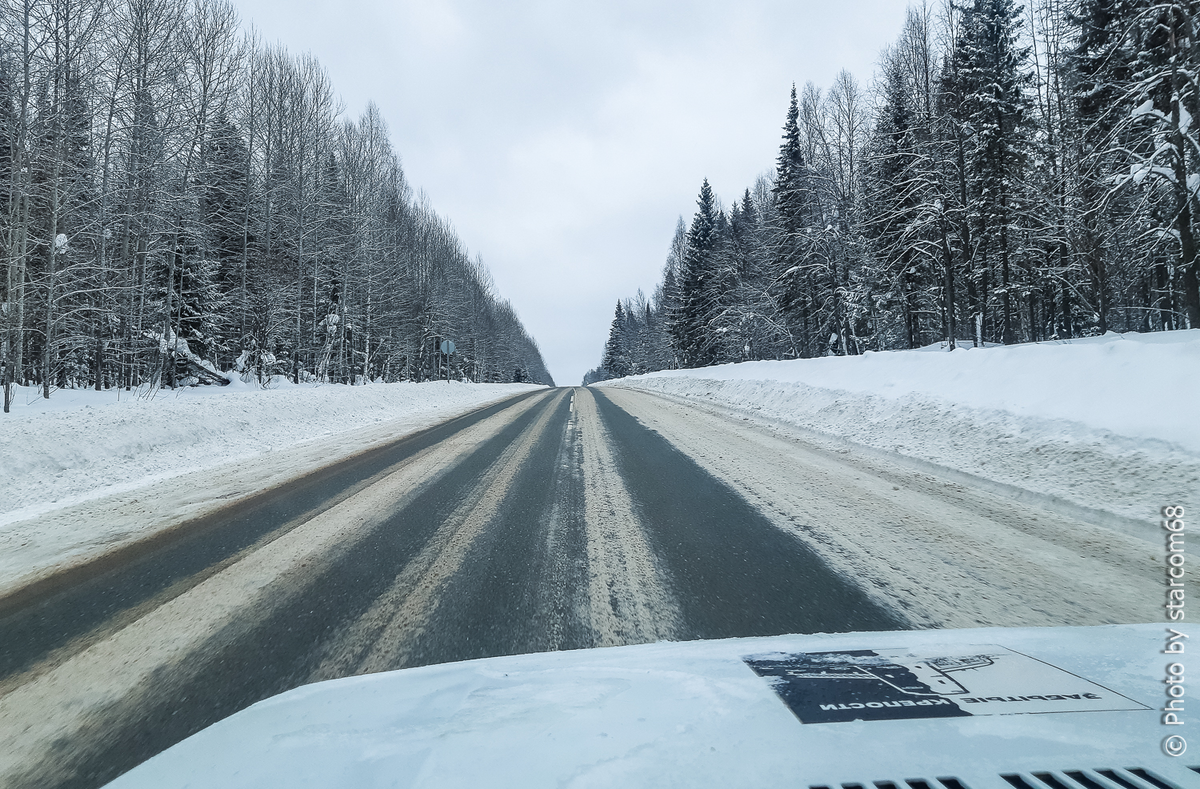 Лесная дорога в начале марта