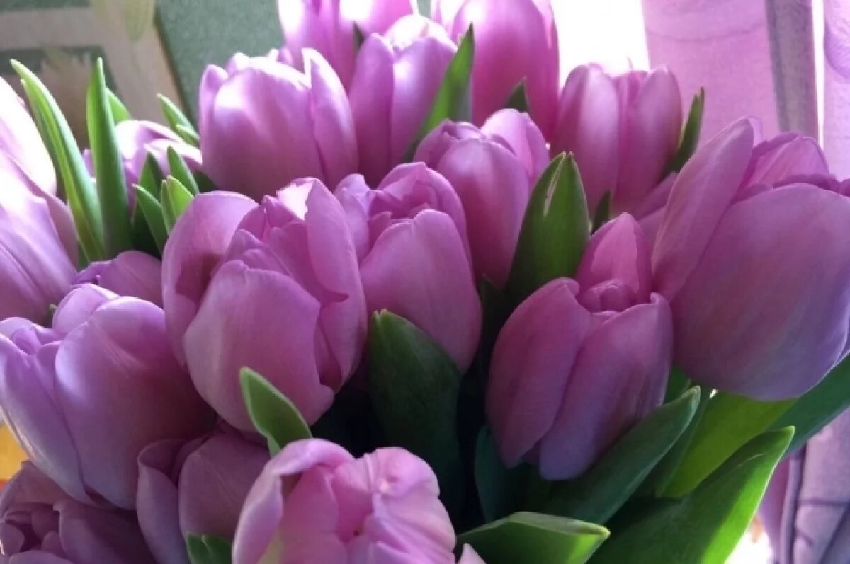    Спрос не упадёт.