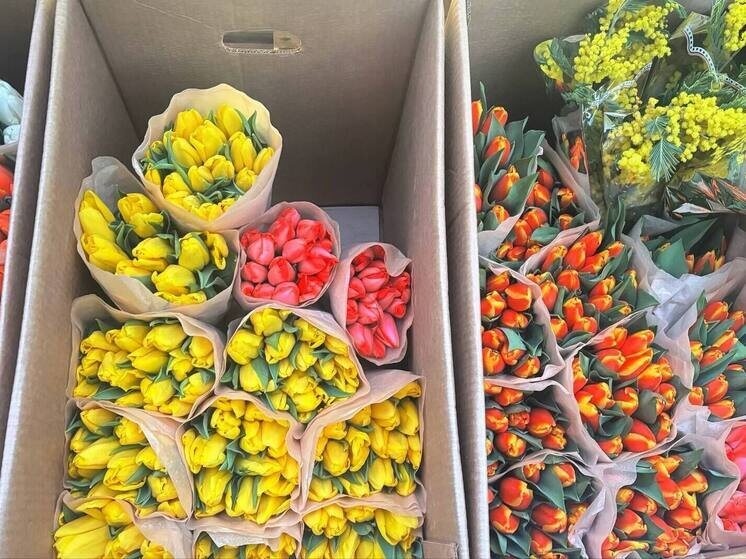     Фото: архив МК в Питере.