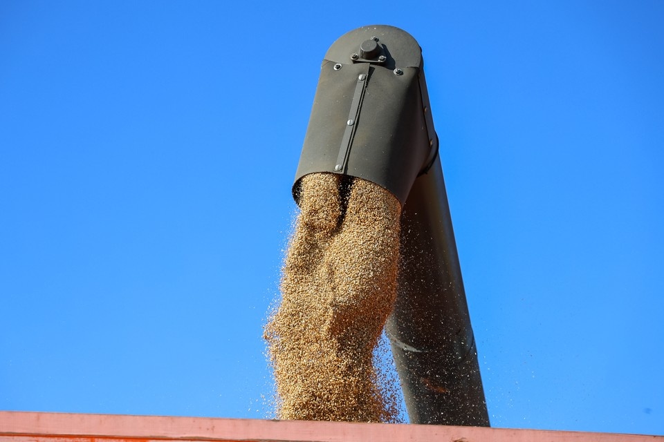    Крупный зернотрейдер располагает имуществом в порту Азова. Артем ЛЕНЦ