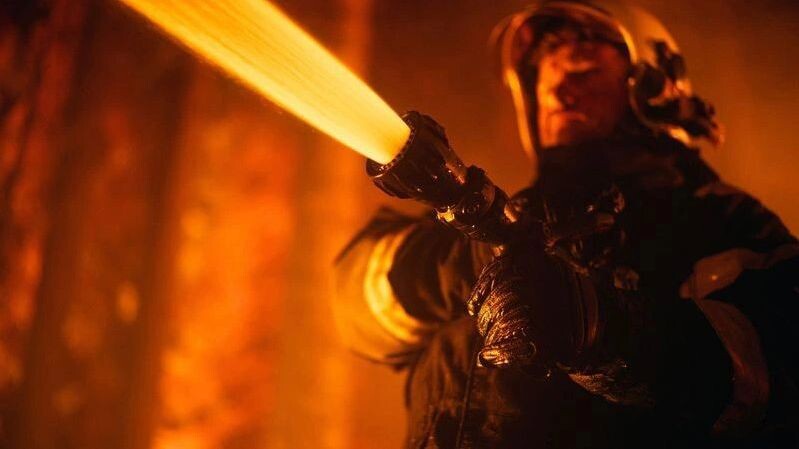    Фото: Gorodenkoff/Shutterstock/Fotodom