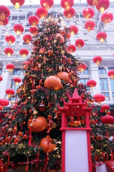 Фото Галины Савинич