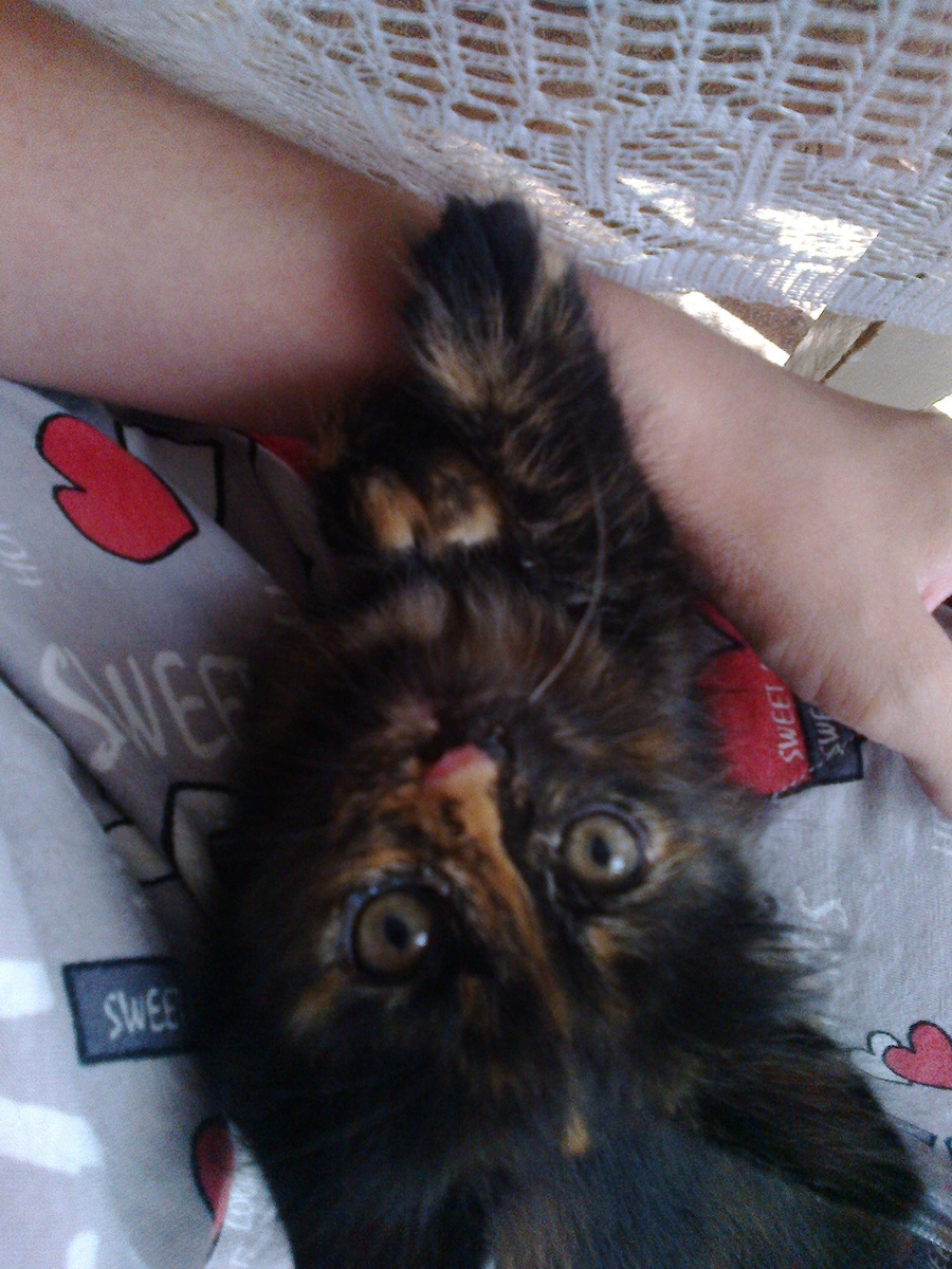 1,5 месяца счастья