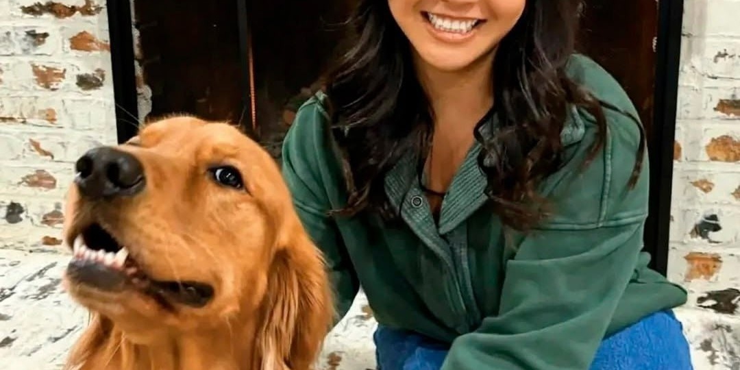 Собака привела хозяйку к умирающим кошкам