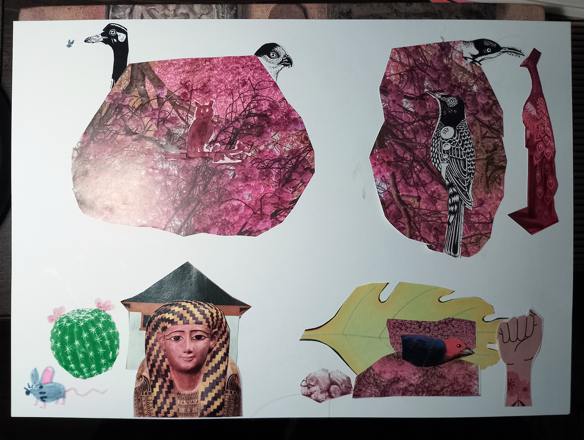 Коллаж №2 "Мир птиц"