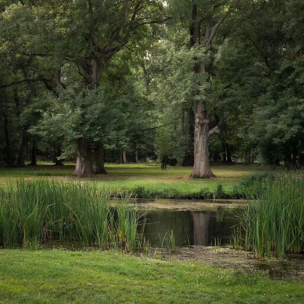 Изображение сгенерировано нейросетью