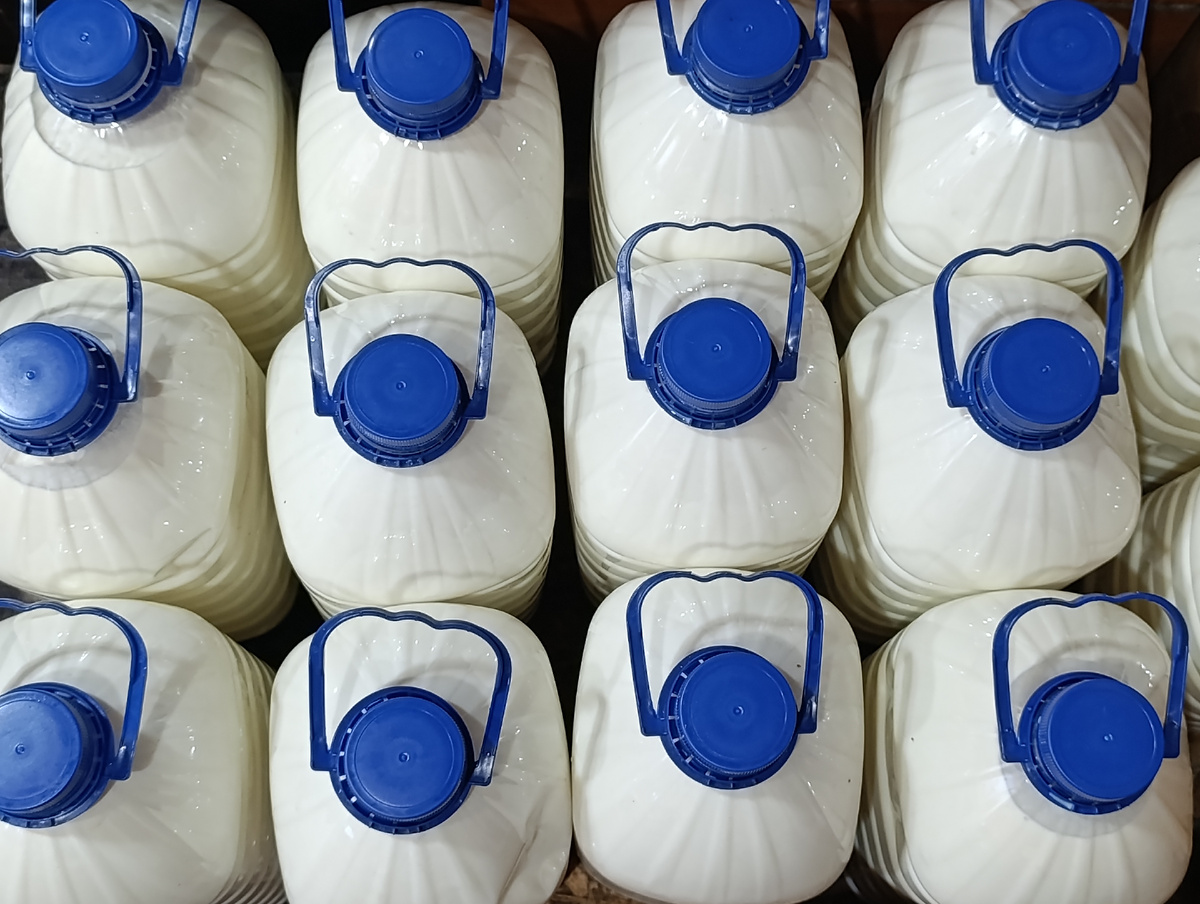 Пятая сотня