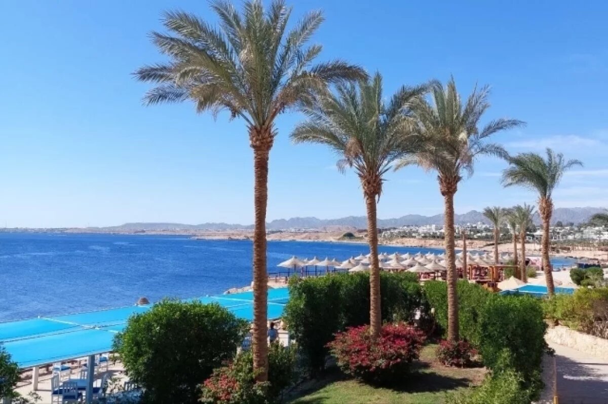    Ульяновцы меняют туры на Ближний Восток на отдых в Египте и Вьетнаме