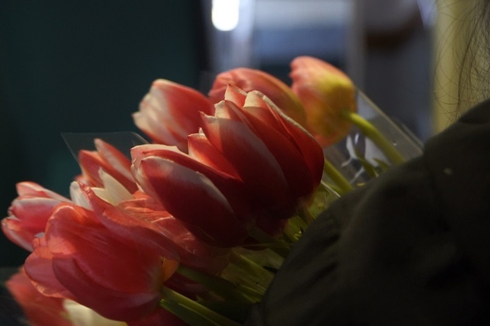    Молодежь ДНР навестила учителей Курахово и Кураховки перед 8 Марта. Фото: Минмол ДНР