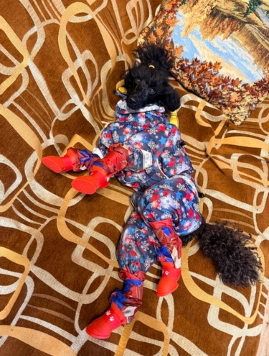 Рассказы Юрика 