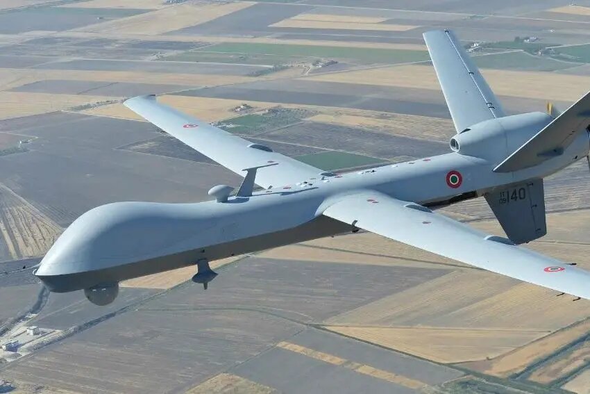    Источник фото: molva33.ru