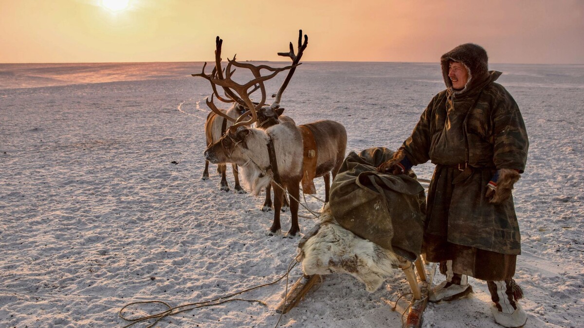    Фото: nenets/Shutterstock/Fotodom
