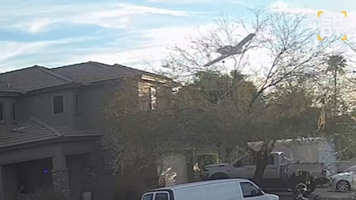    Фото: Скриншот видео / Shot / Telegram