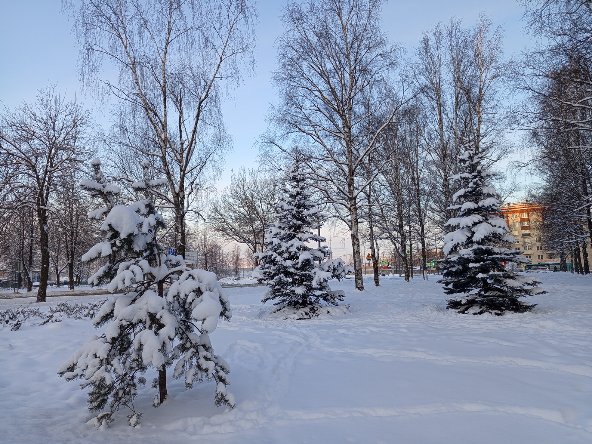 Мороз и солнце