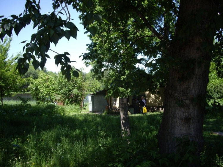 2. Думаю что мало кто сообразит что на этой фотографии 😀🤔 А ведь это правый берег Малого Головинского пруда в переходный период. 