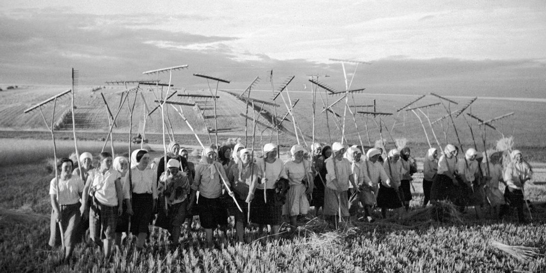 Колхозы СССР: как к 1937 году 93% крестьян объединились в коллективные хозяйства