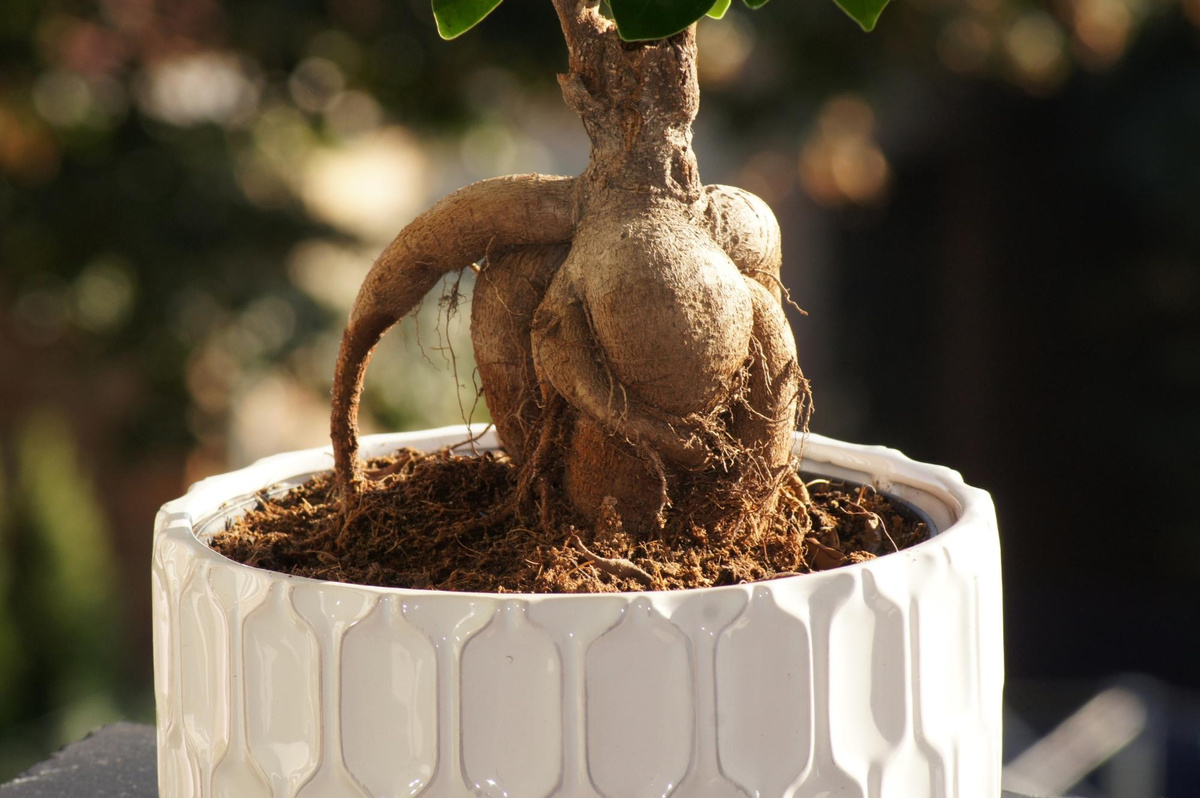 Фото: wirestock /Freepik