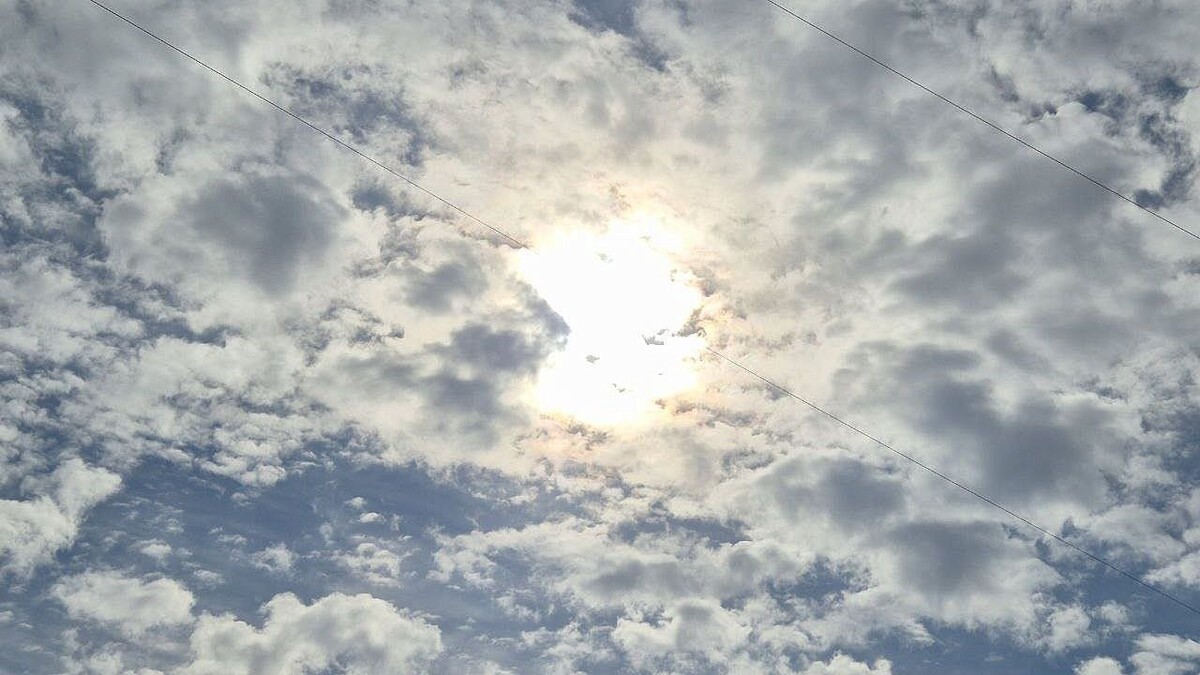    Фото: телеканал «Краснодар»