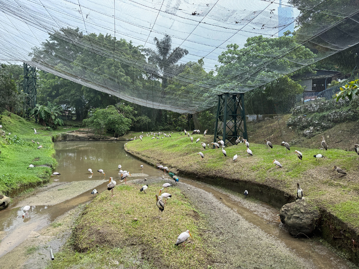 Kuala Lumpur Bird Park