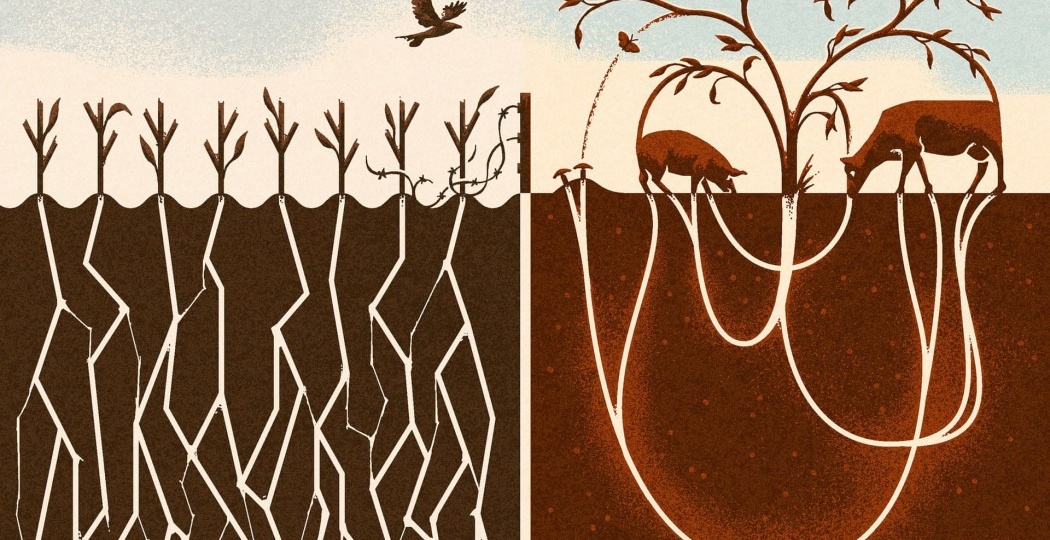 Если вы хотите спасти мир, веганство не поможет