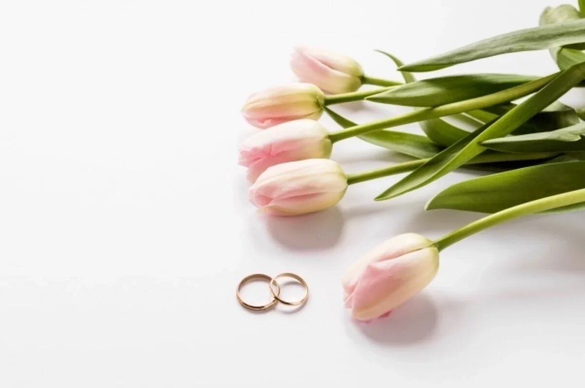    Карьера вместо детей: демограф объяснила, почему в Волгограде пустеют ЗАГСы