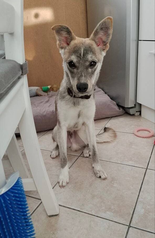 Скажите, а как пройти в библиотеку?