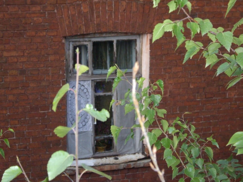 2. Окошко соседнего дома. Михалковская 46к1. 