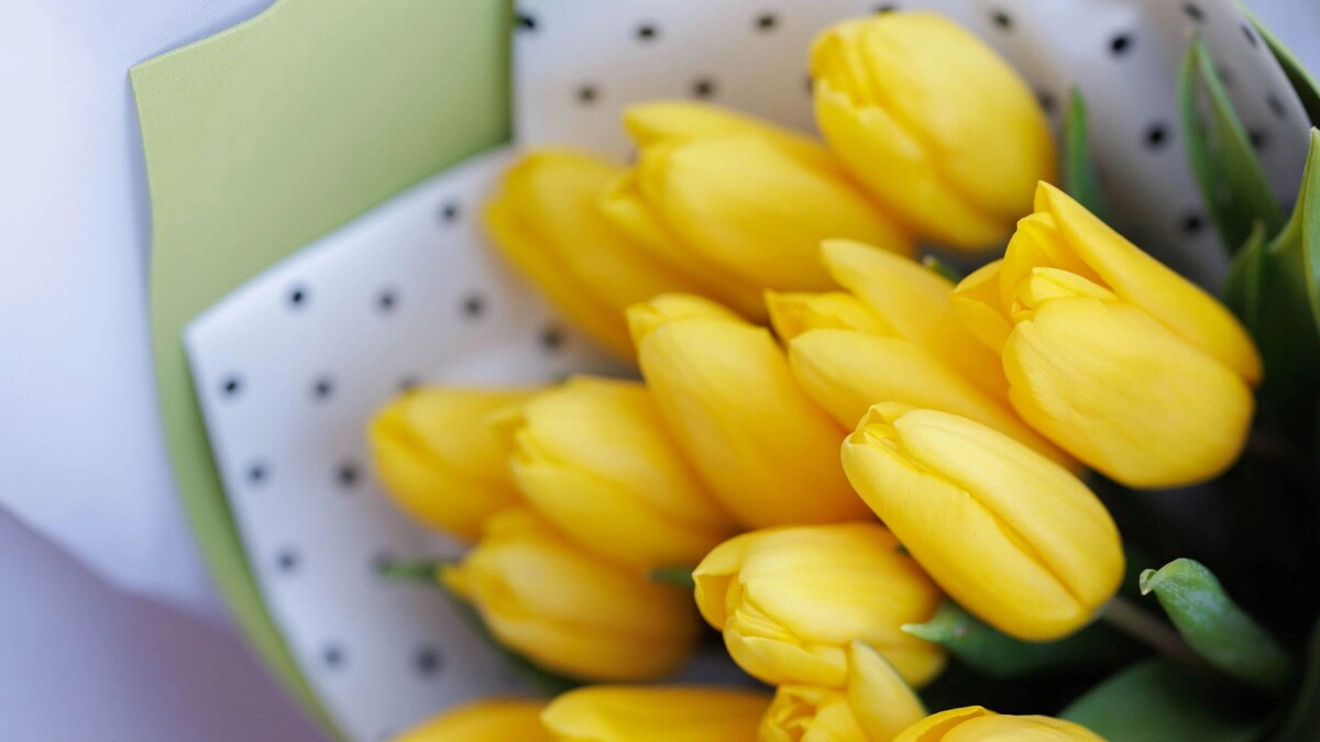    Фото: Юлия Чудинова / «Ямал-Медиа»